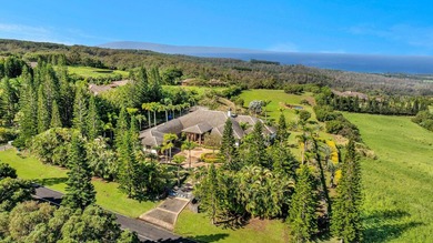Perched high above the coastline within the private gated - photo 48