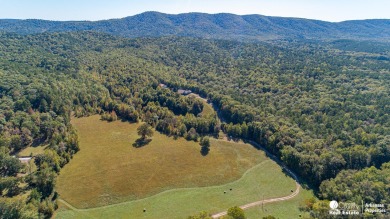 Lake Home For Sale in Mena, Arkansas