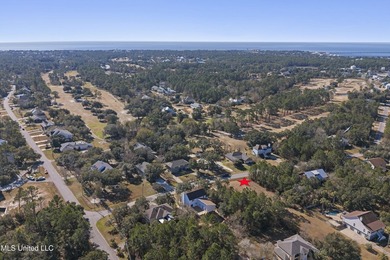 Build your Coastal Mississippi dream in Timber Ridge. This - photo 17