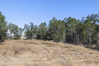 Build your Coastal Mississippi dream in Timber Ridge. This - photo 18