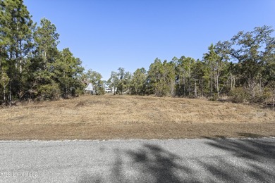 Build your Coastal Mississippi dream in Timber Ridge. This - photo 19