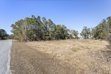 Build your Coastal Mississippi dream in Timber Ridge. This - photo 20