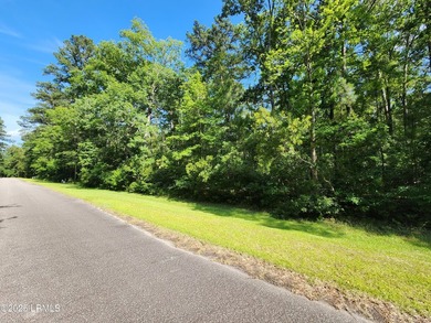 1.29 acres near Lake Pocotaligo & the community boat storage - photo 3