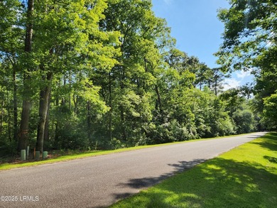 1.29 acres near Lake Pocotaligo & the community boat storage - photo 4