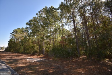 Fantastic building lot in Prestigious Winding River Community - photo 2