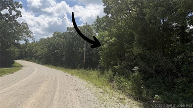 Build your vision on 12.20 wooded acres in Gravois Mills, MO - photo 2