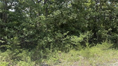 Build your vision on 12.20 wooded acres in Gravois Mills, MO - photo 3