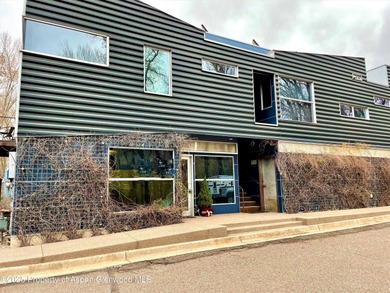 (private lake, pond, creek) Commercial Active Under Con in Basalt Colorado