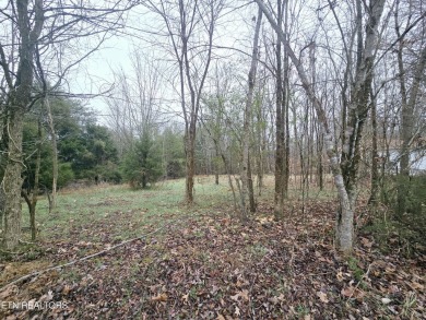 Lake Lot Sale Pending in Vonore, Tennessee