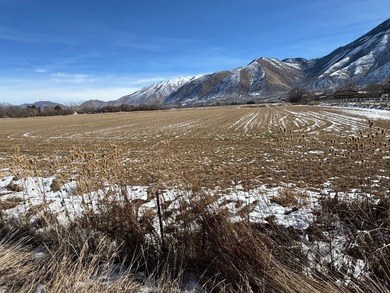 This is 4 parcels totaling 14.212 acres of flat farm land - photo 11