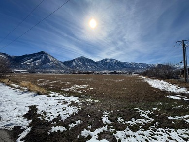 This is 4 parcels totaling 14.212 acres of flat farm land - photo 12