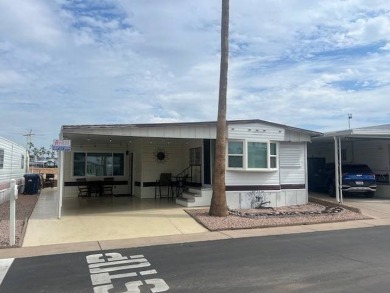 Lake Home For Sale in Mesa, Arizona