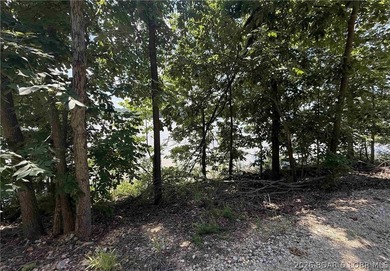 Ready to build your dream home at the Lake of the Ozarks? This - photo 4