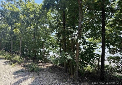 Ready to build your dream home at the Lake of the Ozarks? This - photo 5