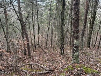 3.3-acre lakefront lot located on Jim Henry Road in Dandridge - photo 5