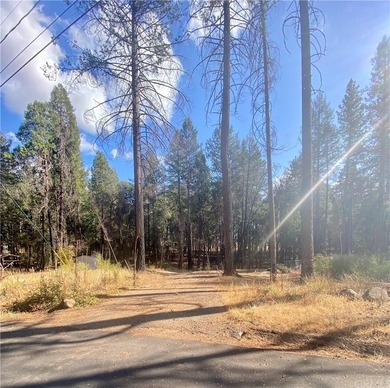 Magalia Lake  Lot For Sale in Magalia California