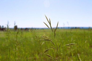 Set in the heart of Northeast Wyoming's most scenic and peaceful - photo 9
