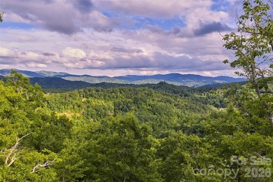 Rare opportunity to acquire a 35-homesite development portfolio - photo 34