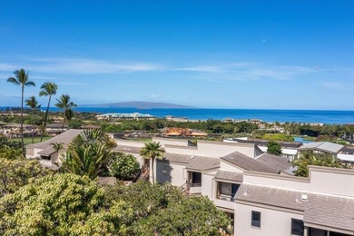 Perfectly positioned in Wailea Ekolu! The incredible ground - photo 36