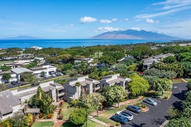 Perfectly positioned in Wailea Ekolu! The incredible ground - photo 37