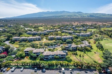 Perfectly positioned in Wailea Ekolu! The incredible ground - photo 41