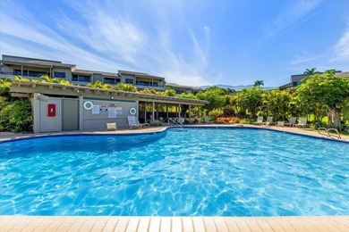 Perfectly positioned in Wailea Ekolu! The incredible ground - photo 43