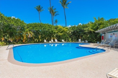 Perfectly positioned in Wailea Ekolu! The incredible ground - photo 44