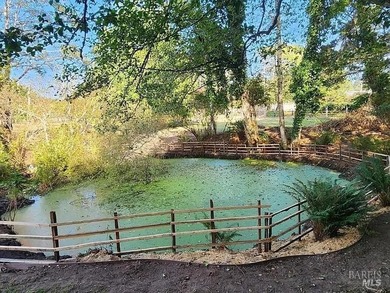 This is a one of a kind property of 18 acres including - photo 5