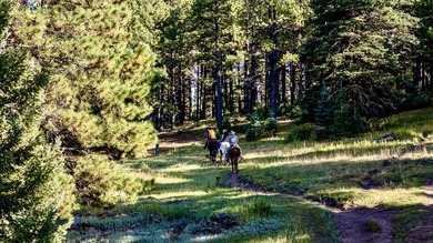 In the heart of the Angel Fire Valley lies a beloved, family-run - photo 15