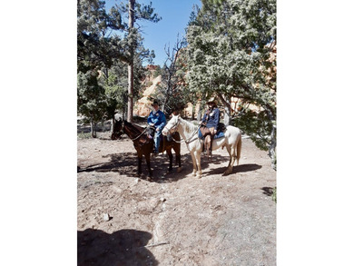 In the heart of the Angel Fire Valley lies a beloved, family-run - photo 20