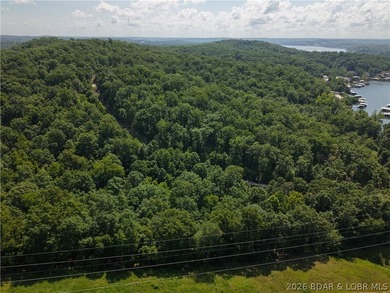 Discover the potential of this 1.2-acre wooded tract in the Twin - photo 1