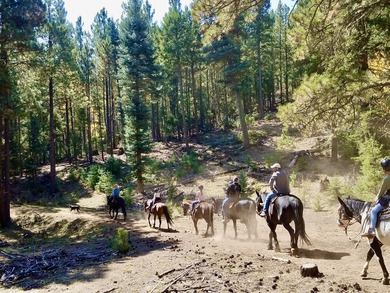 In the heart of the Angel Fire Valley lies a beloved, family-run - photo 21