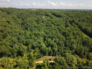 Discover the potential of this 1.2-acre wooded tract in the Twin - photo 3