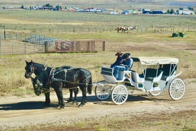 In the heart of the Angel Fire Valley lies a beloved, family-run - photo 40