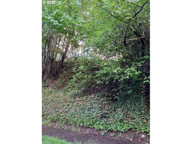 Willamette River - Multnomah County Lot For Sale in Portland Oregon