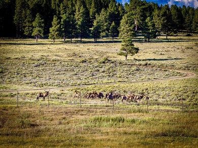 In the heart of the Angel Fire Valley lies a beloved, family-run - photo 45