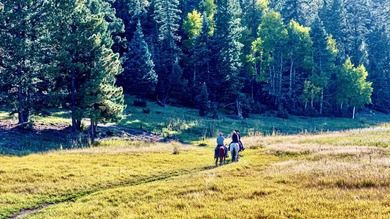 In the heart of the Angel Fire Valley lies a beloved, family-run - photo 48