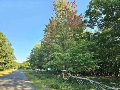 Lake Michigan - Delta County Lot For Sale in Gladstone Michigan