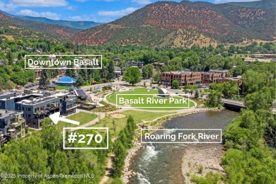 Lake Condo For Sale in Basalt, Colorado