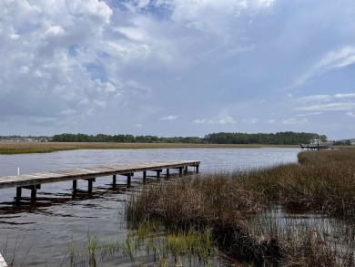 New River - Franklin County Acreage For Sale in Carabelle Florida