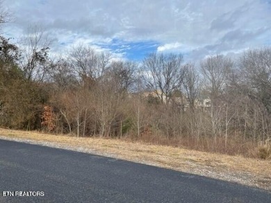 Lake Lot For Sale in Loudon, Tennessee