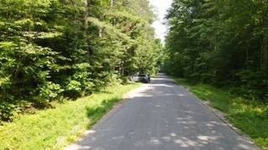 20.6 ACRES PITCAIRN, ST LAWRENCE COUNTY, NY Over 2060 feet of - photo 11