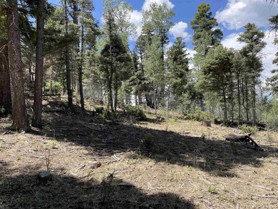Beautiful 200 degree views of Wheeler Peak Wilderness, north - photo 11