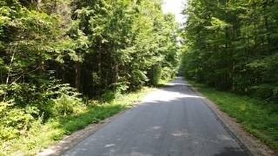 20.6 ACRES PITCAIRN, ST LAWRENCE COUNTY, NY Over 2060 feet of - photo 12