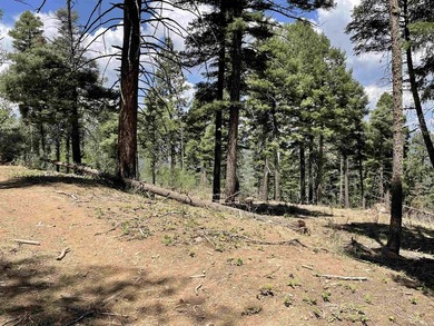 Beautiful 200 degree views of Wheeler Peak Wilderness, north - photo 13
