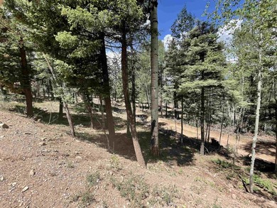 Beautiful 200 degree views of Wheeler Peak Wilderness, north - photo 14