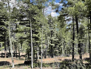 Beautiful 200 degree views of Wheeler Peak Wilderness, north - photo 15