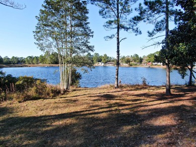 Lake Lot For Sale in Defuniak Springs, Florida