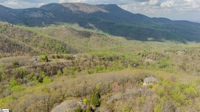 Perched on the serene mountain of The Cliffs at Glassy, 53 - photo 3