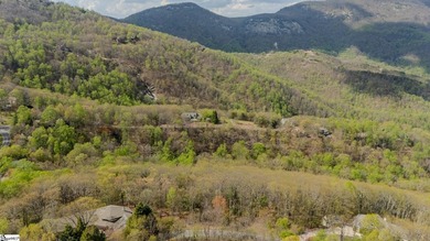 Perched on the serene mountain of The Cliffs at Glassy, 53 - photo 8